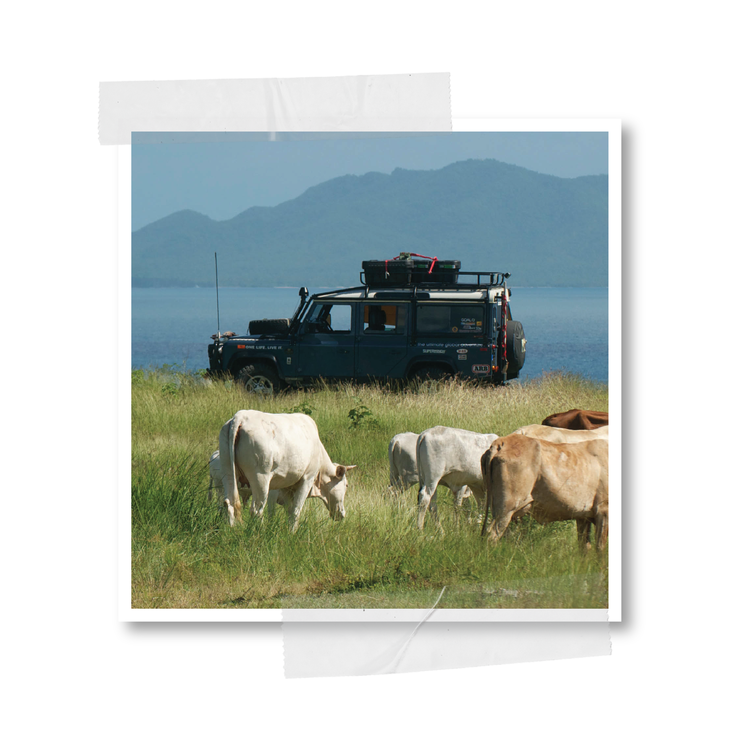 Caribbean Raga transformation